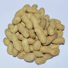 Φυστίκια Φλοιού Ψημένα Αλατισμένα ALCO 1kg