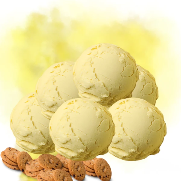 Γεύση Παγωτού Mπισκότο Biscaroma Digusto OLYMPIC FOODS 3kg