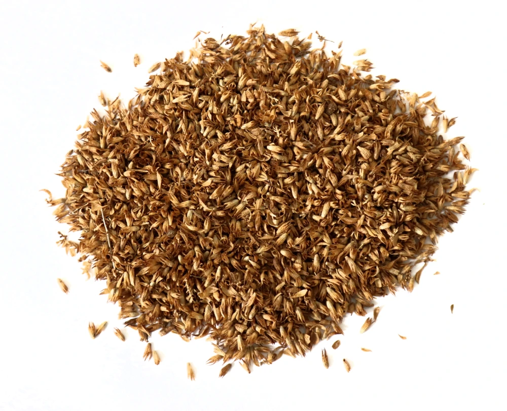 Θρούμπι Αλμυρό ΑΒΡΑΜΟΓΛΟΥ 1kg