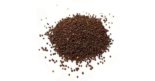 Σινάπι Μαύρο ΑΒΡΑΜΟΓΛΟΥ 1kg