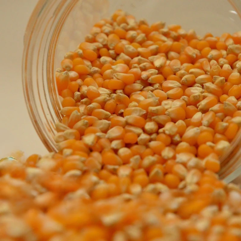 Ποπ Κορν ΑΦΟΙ ΓΚΛΑΒΕΡΗ 15kg