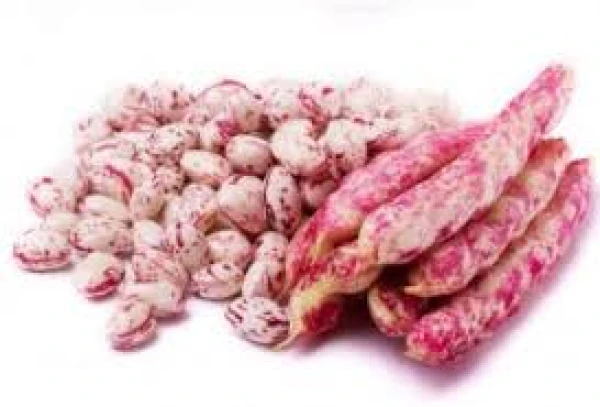 Μπαρμπουνοφάσουλα ΑΦΟΙ ΓΚΛΑΒΕΡΗ 15kg