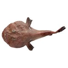 Πεσκανδρίτσα Κίνας ΣΑΒΡΑΜΗΣ 10kg