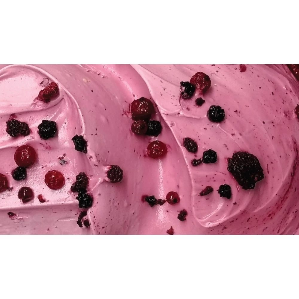 Πάστα Φρούτα Του Δάσους DESIGN DOO 2,5kg