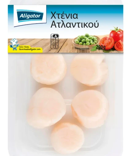 Χτένια Ατλαντικού ALIGATOR 200gr