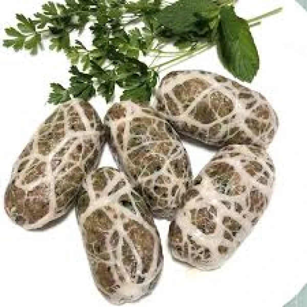 Σεφταλιά Κατεψυγμένο MEAT BOUTIQUE ~5kg