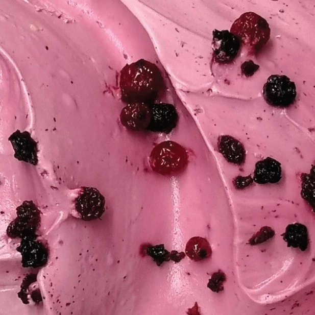 Γεύση Παγωτού Φρούτα του Δάσους ΑΚΤΙΝΑ 3,5kg