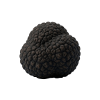 Premium προϊόντα