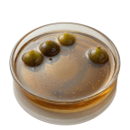 Γλυκά του Κουταλιού