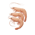 Γαρίδες κτψ