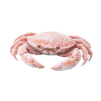 Καβούρι κτψ