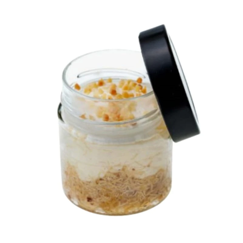 Εκμέκ σε Γυάλινο Βαζάκι ZOOMSERIE 150gr (10x150gr)