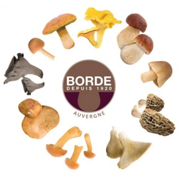 Μανιτάρια του Δάσους Mix BORDE 454gr