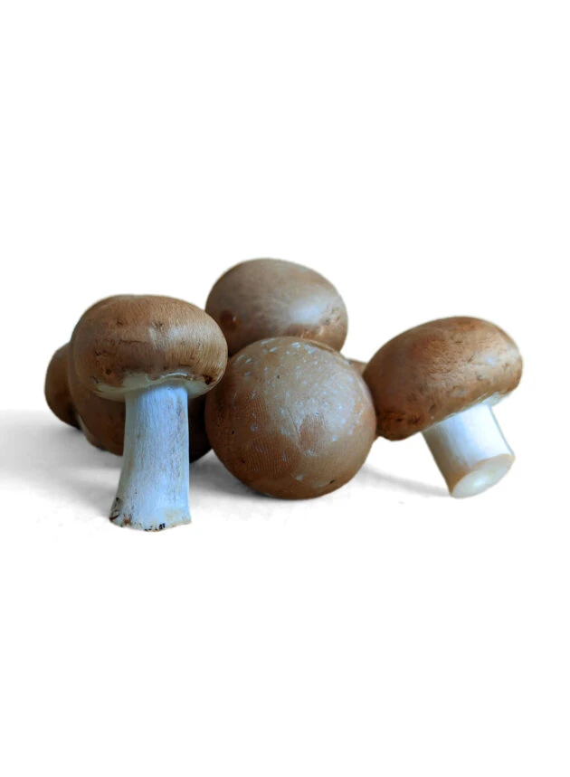 Mανιτάρια Πολωνίας Brown 40/60 MANITU 3kg
