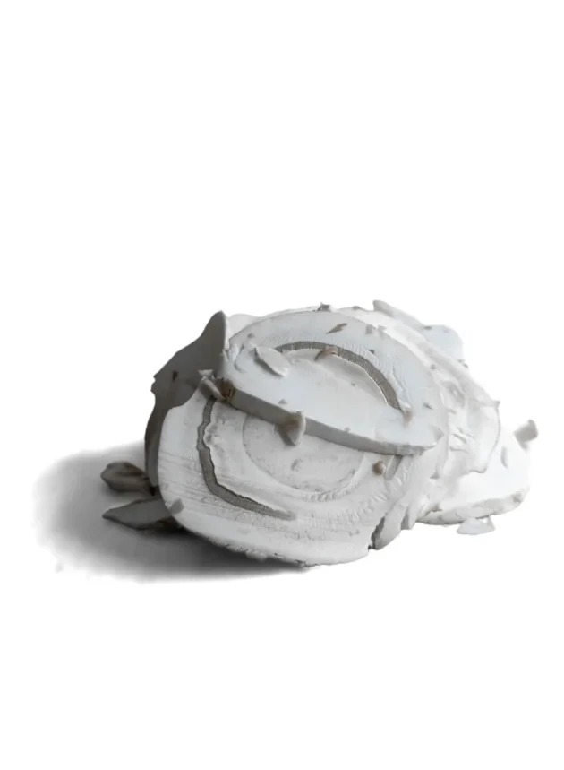 Mανιτάρια Πολωνίας Λευκά Κομμένα 60/80 MANITU 2,5kg