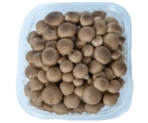 Μανιτάρι Shimeji Καφέ MANITU 150gr