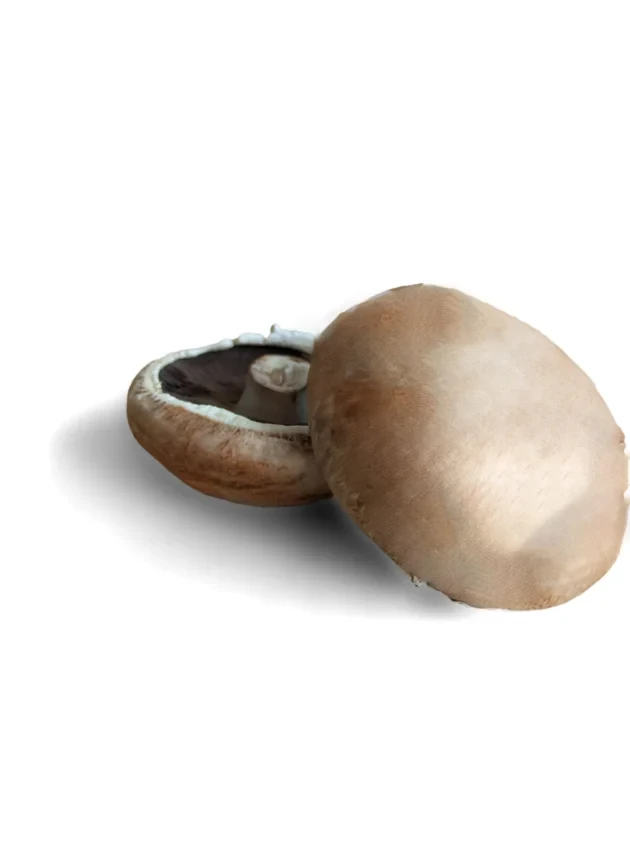 Mανιτάρια Πολωνίας Portobello 60/80 MANITU 2kg