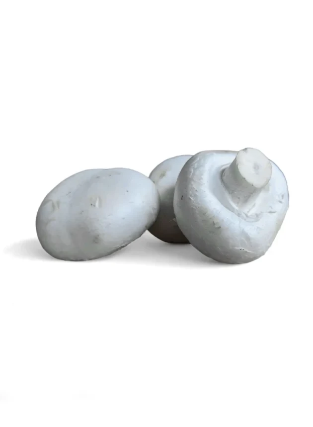 Μανιτάρια Λευκά Πολωνίας 40/60 MANITU 250gr