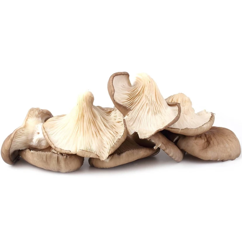 Μανιτάρια Πλευρώτους Κιλκίς MANITU 500gr