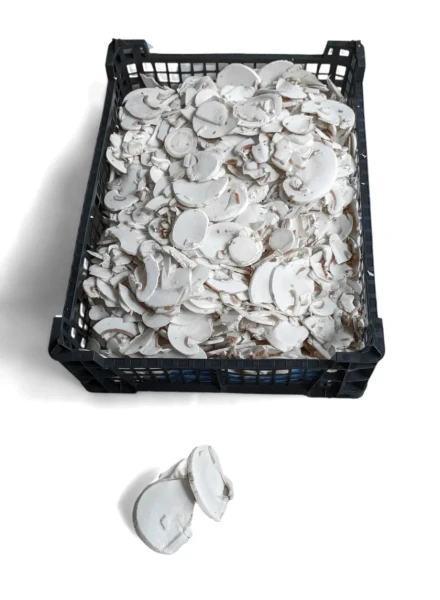 Mανιτάρια Πολωνίας Λευκά Κομμένα 60/80 MANITOU 2,5kg