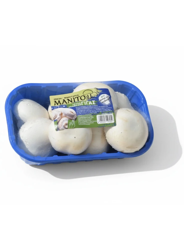 Μανιτάρια Λευκά Πολωνίας 60/80 MANITOU 500gr