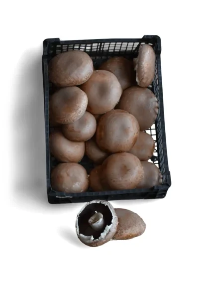 Mανιτάρια Πολωνίας Portobello 60/80 MANITOU 2kg