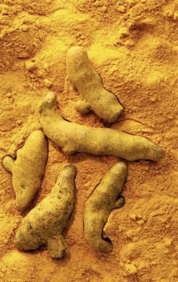 Κουρκουμάς σε Σκόνη ΑΒΡΑΜΟΓΛΟΥ 1kg