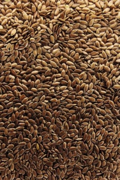 Λινάρι σε Σπυρί ΑΒΡΑΜΟΓΛΟΥ 500gr
