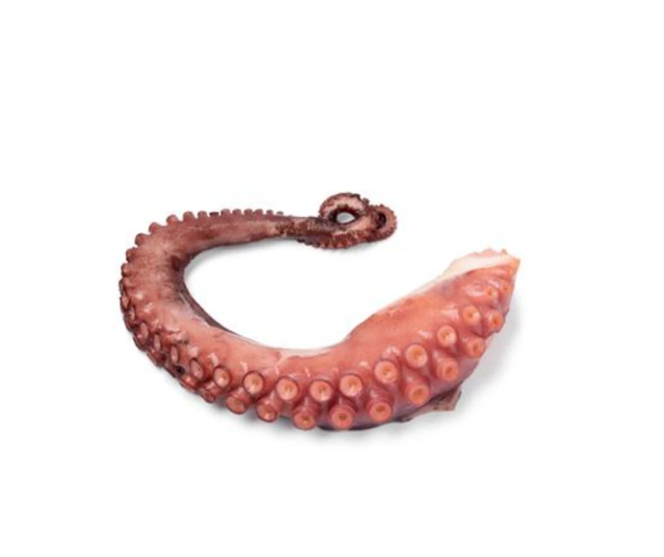 Χταπόδι Πλοκάμι Τ3 Προβρασμένο Μαρόκου SEA WORLD 3kg