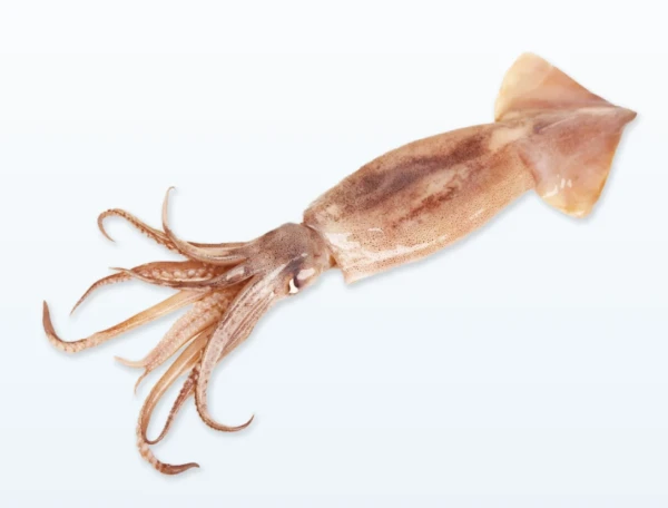 Θράψαλα με Δέρμα U5 FRY SEA WORLD 6kg