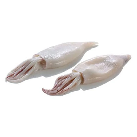 Θράψαλα Καθαρισμένα U3 ILLEX SEA WORLD 6kg