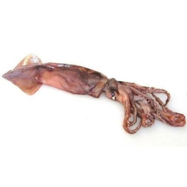 Καλαμάρια Κίνας Loligo Chinensis ΚΤΨ 6/10 IQF FAO61 PESCANOVA 6kg