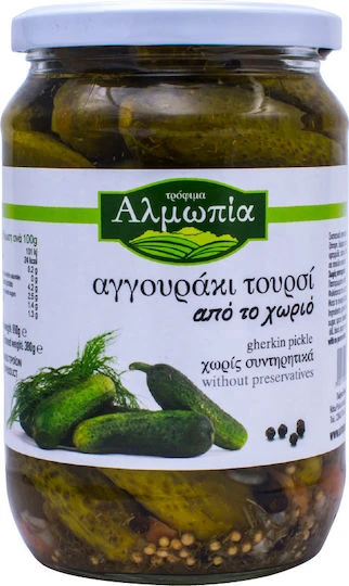 Αγγουράκι Τουρσί ΑΛΜΩΠΙΑ 690gr